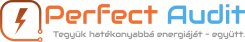 perfaudit